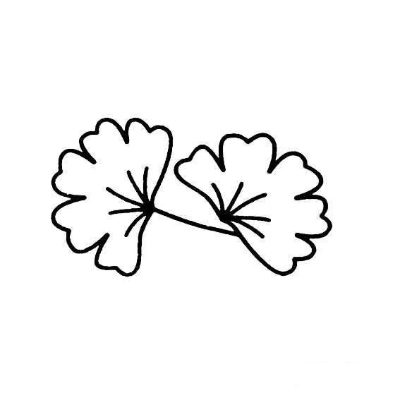 银杏叶子的简笔画法