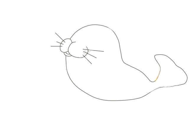 小海豹简笔画步骤图
