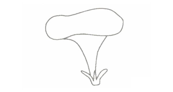 牵牛花简笔画图片