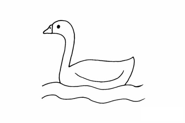 白鹅简笔画图片