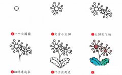 蒲公英植物花简笔画步骤图片大全