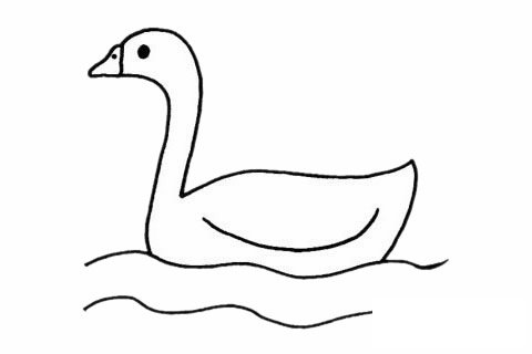 白鹅简笔画