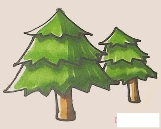 幼儿园松树简笔画怎么画带步骤图填色