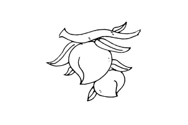 水蜜桃简笔画步骤图