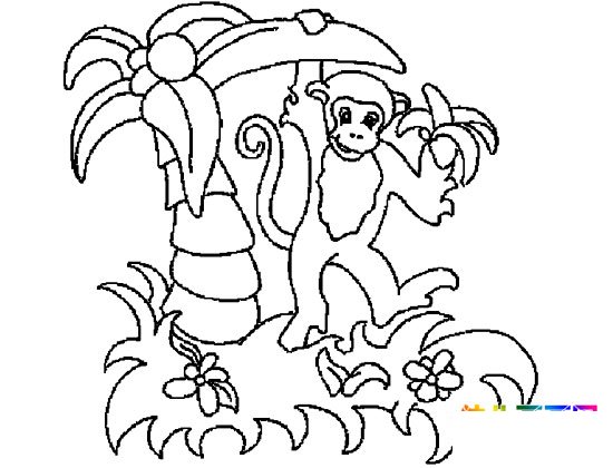 动物简笔画：调皮的小猴子1