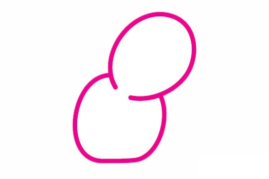 仙人球简笔画图片