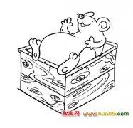 睡觉的老鼠【简笔画】
