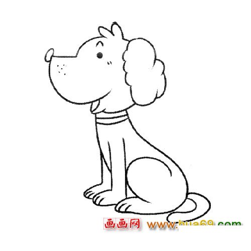 带项圈的小狗简笔画5