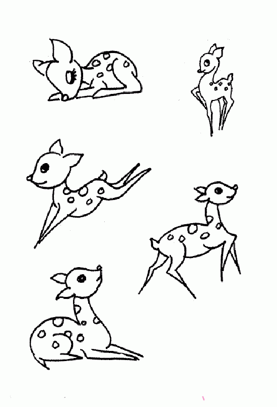 各种梅花鹿简笔画图片大全