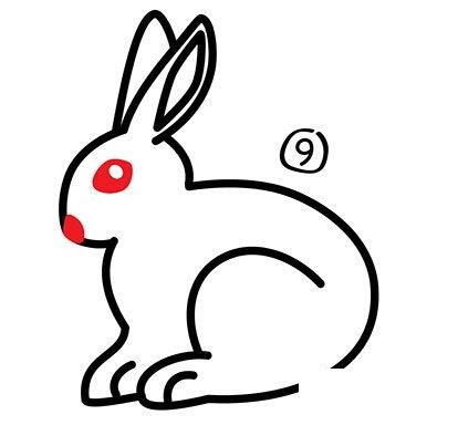 小兔子简笔画步骤图片
