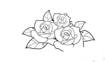 简笔画情人节玫瑰的具体画法步骤图片教程
