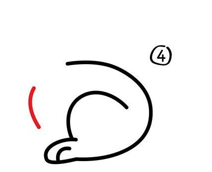 小兔子简笔画步骤图片