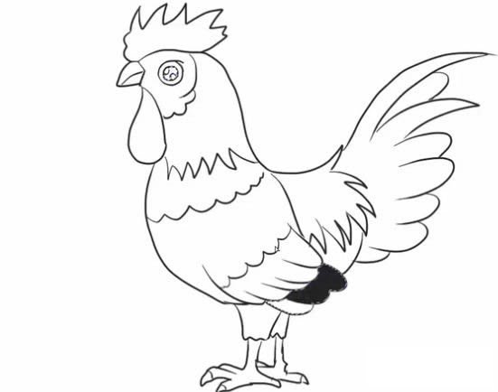 大公鸡简笔画的画法步骤教程 卡通大公鸡简笔画怎么画