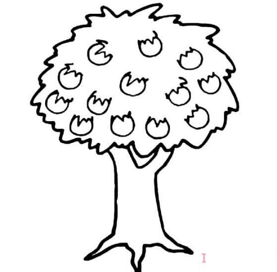 果树的画法步骤图简单 果树简笔画图片