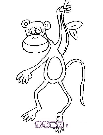 玩耍的小猴子简笔画1