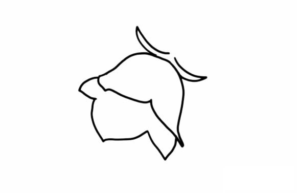 风铃草简笔画步骤图解