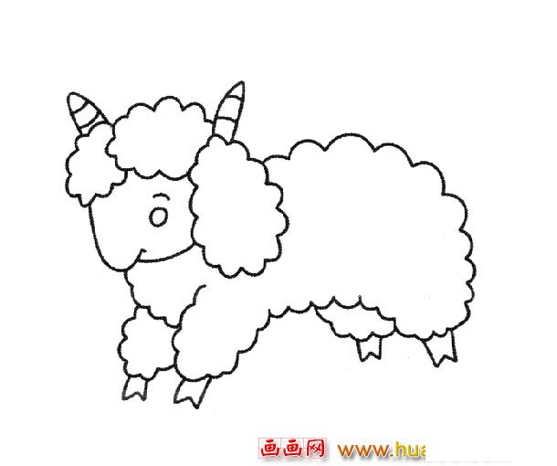 可爱的小绵羊_动物简笔画