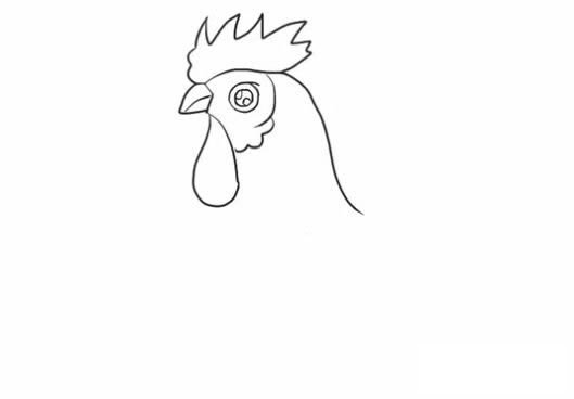 大公鸡简笔画的画法步骤教程 卡通大公鸡简笔画怎么画