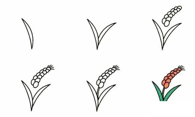 19种植物简笔画小教程