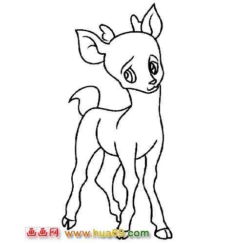 委屈的梅花鹿│动物简笔画