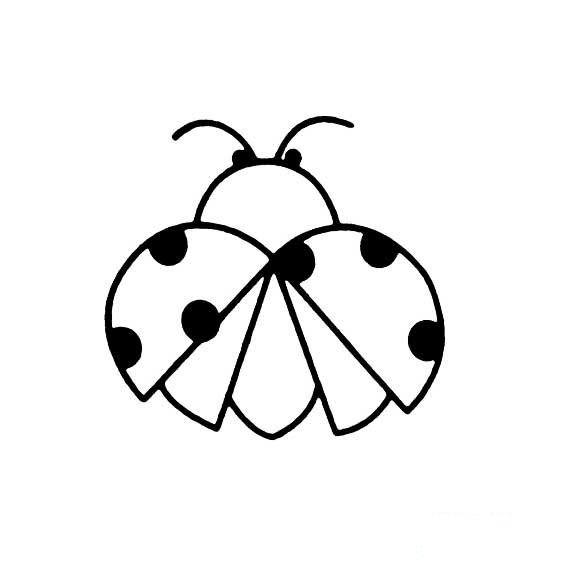 张开翅膀的瓢虫简笔画
