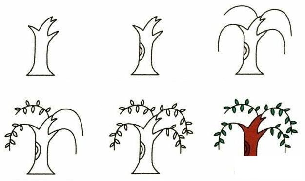 19种植物简笔画小教程