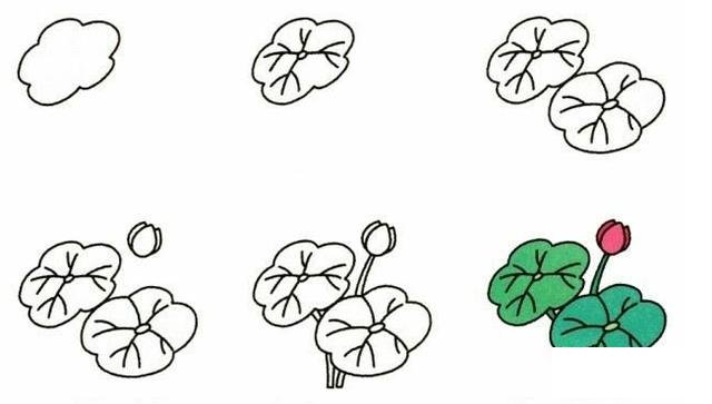 19种植物简笔画小教程