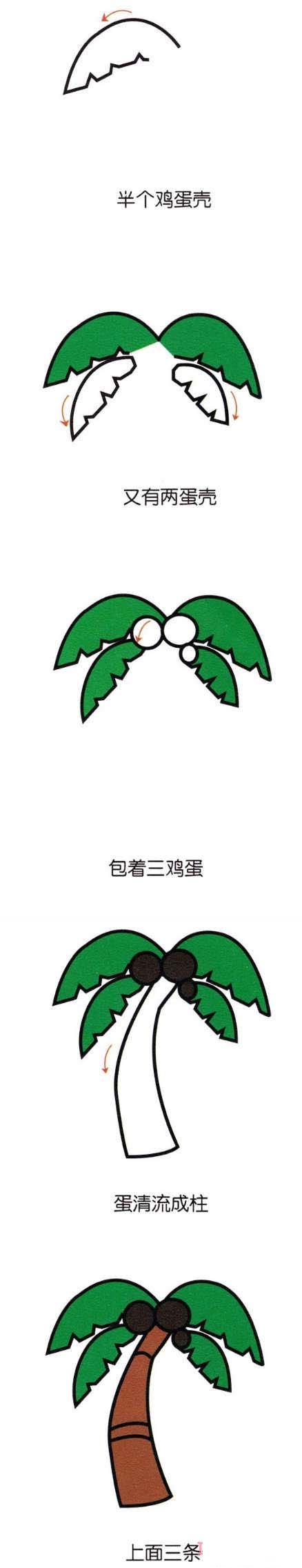 卡通椰子树的画法带步骤图涂色简单好看