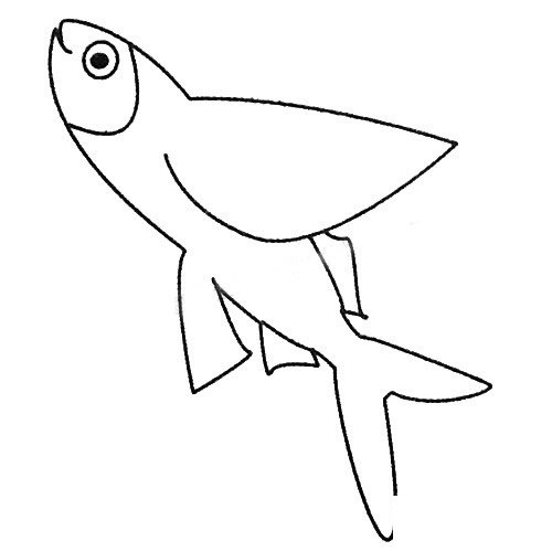 飞鱼简笔画图片大全