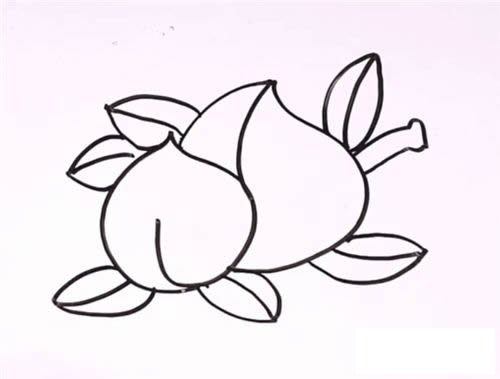 蟠桃简笔画步骤图解