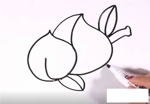 蟠桃简笔画步骤图解