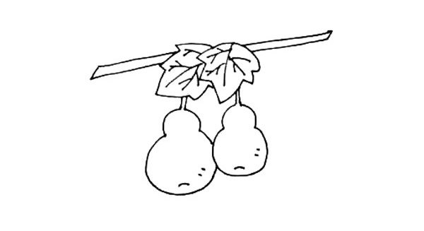 藤蔓上的葫芦简笔画