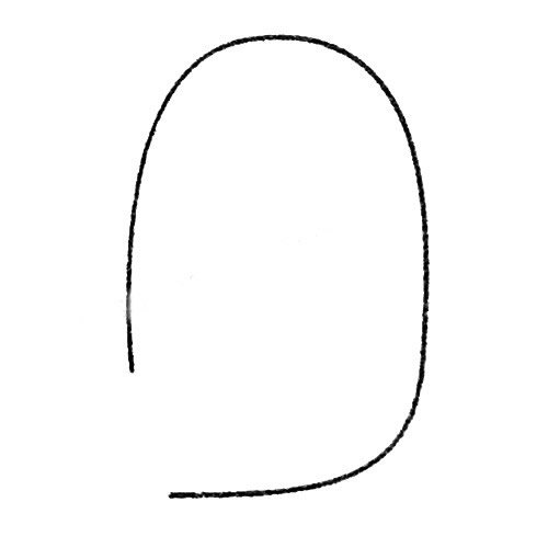 海象简笔画图片