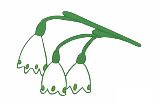 铃兰花简笔画图片