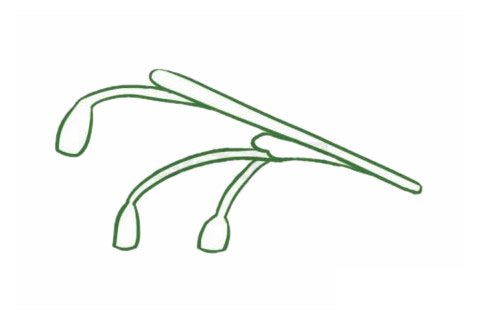 铃兰花简笔画图片