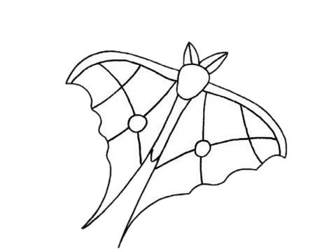 飞蛾简笔画图片