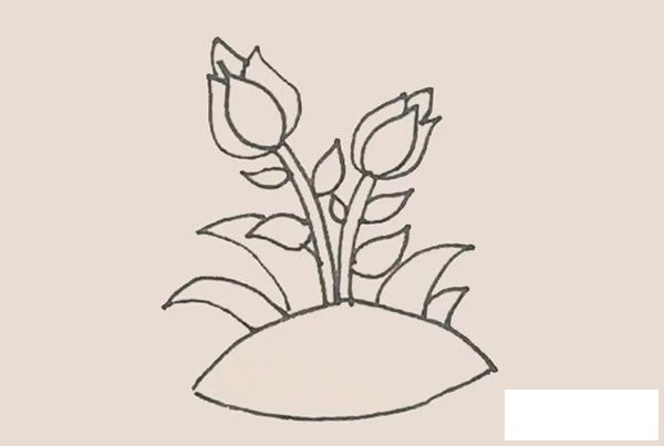 月季花简笔画步骤图