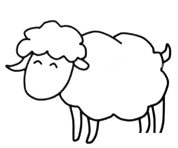 六张可爱的绵羊简笔画图片