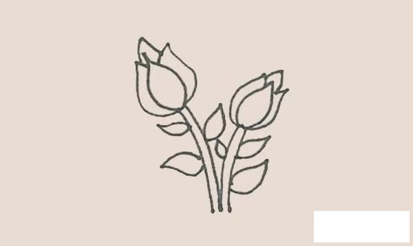 月季花简笔画步骤图