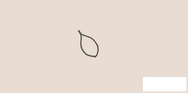 月季花简笔画步骤图