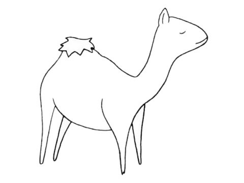 单峰驼简笔画图片