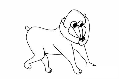 狒狒简笔画图片