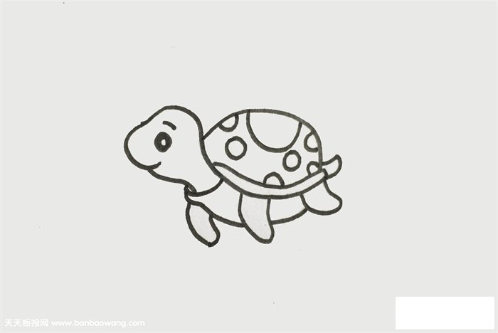海龟怎么画