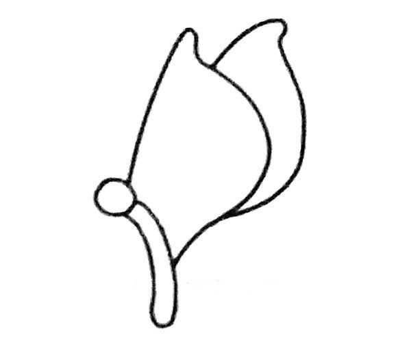 蝴蝶简笔画步骤2