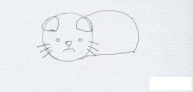 可爱的猫咪简笔画步骤图