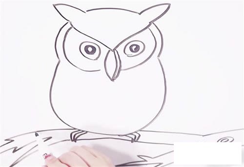 可爱猫头鹰简笔画步骤图