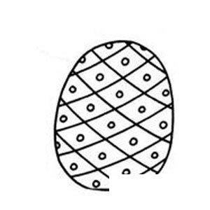 菠萝简笔画步骤图