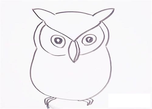 可爱猫头鹰简笔画步骤图