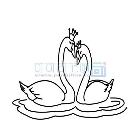 两只白天鹅简笔画法