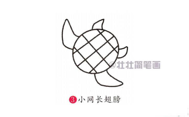 海龟简笔画画法_怎么画海龟的简笔画